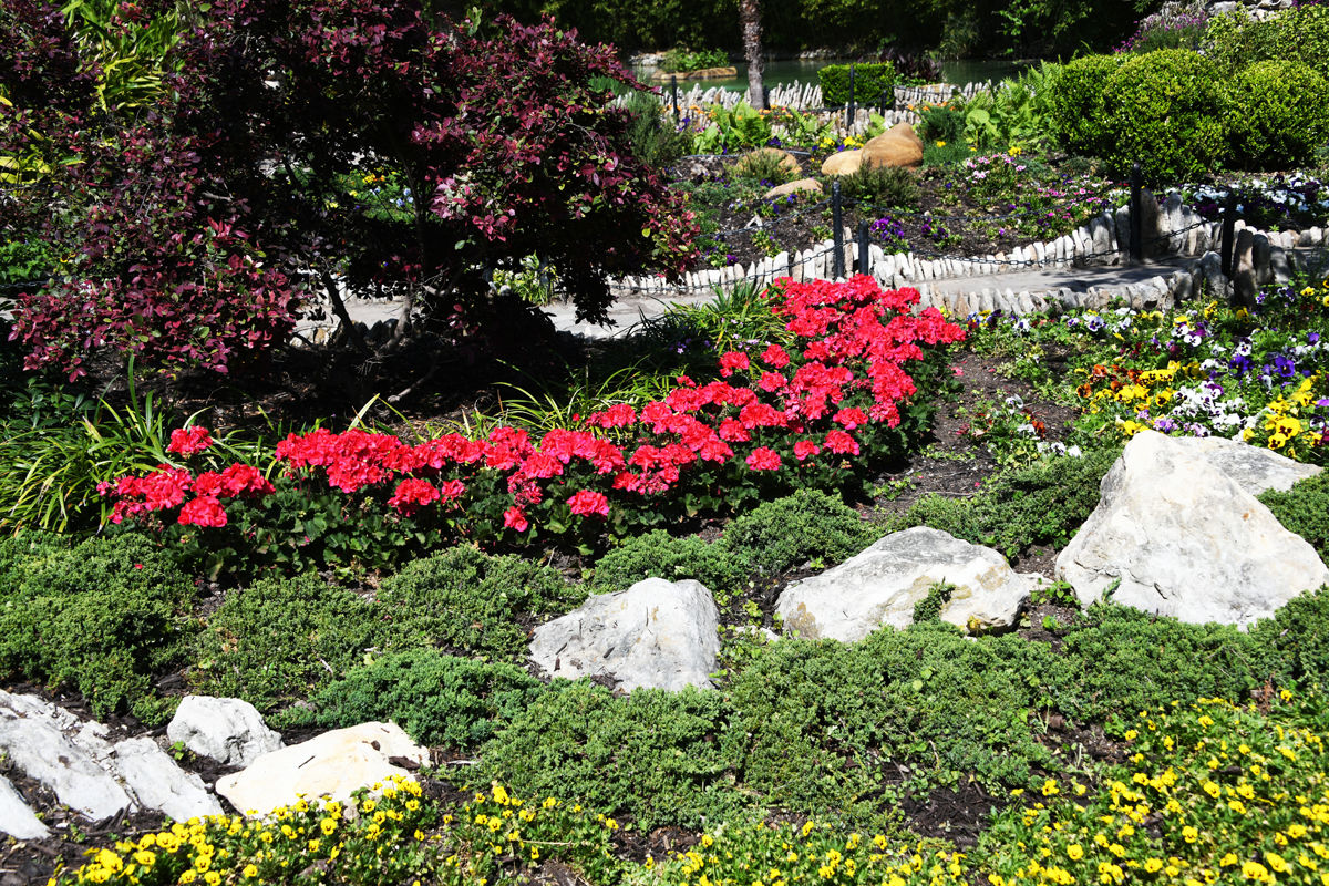 142 Beauty at the Japanese Tea Garden.JPG